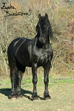 foto05.jpg