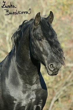 foto06.jpg