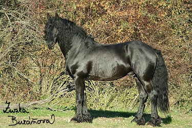 foto08.jpg